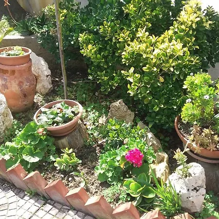 Appartamento Casa Vacanze Orione Alcamo Marina